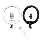 14 inch Bi-Colour Ring Light (Light Only)