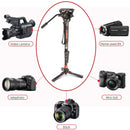 Coman DK327A 10kg Professional Aluminum Video Monopod with Fluid Head